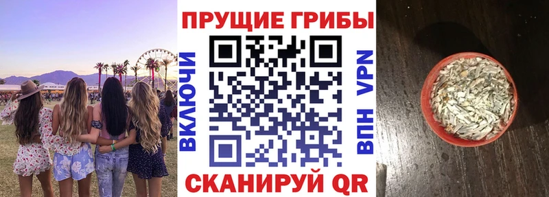 Псилоцибиновые грибы GOLDEN TEACHER  Горячий Ключ 